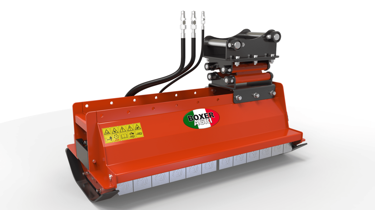 EXF BOXER1
